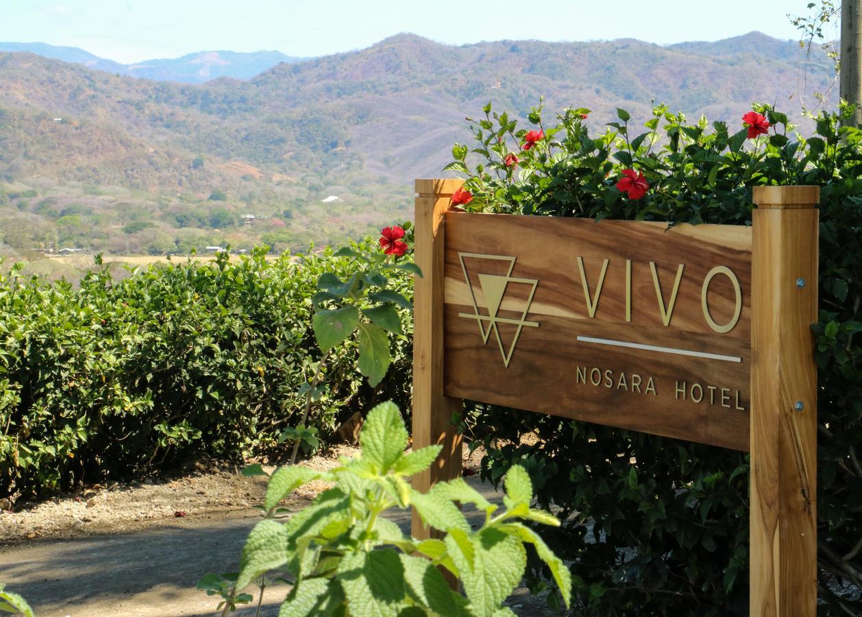 Vivo Nosara Hotel Экстерьер фото
